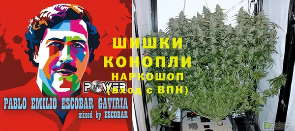 не бодяженный Белокуриха