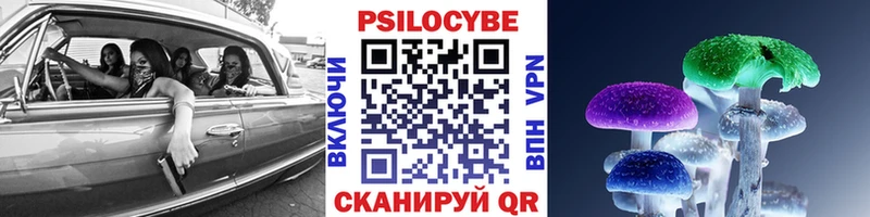 купить закладку Няндома Псилоцибиновые грибы MAGIC MUSHROOMS